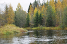 Река Олонка