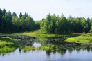 Река Видлица