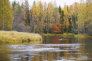 Река Олонка