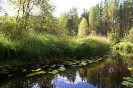 Река Падозерка