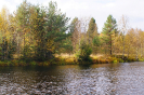Река Видлица