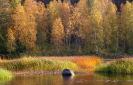 река Тулемайоки 