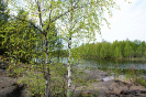река Суна