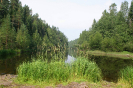 река Суна